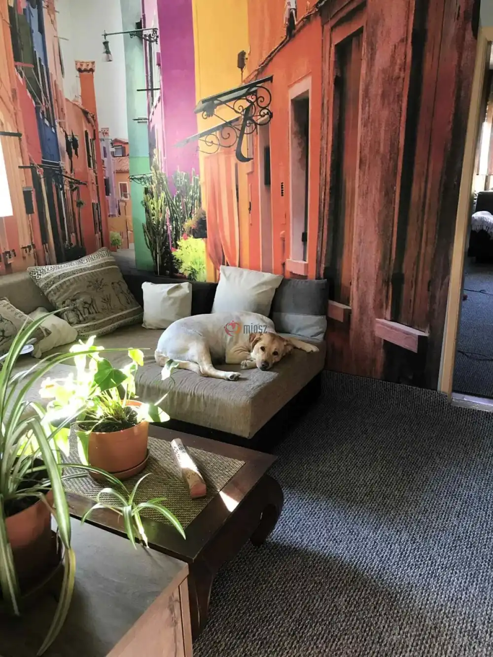 Baranya megye - Himesháza