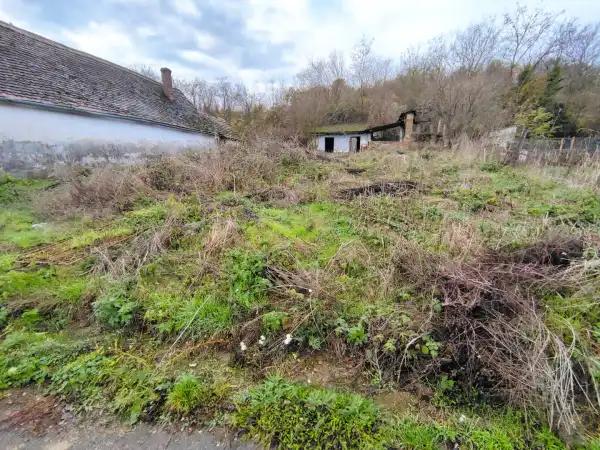 Eladó Építési telek, Bár 1479 m² 1.3 M Ft