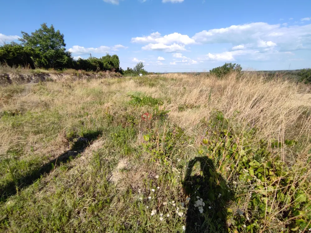 Baranya megye - Mohács