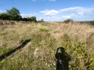 Baranya megye - Mohács