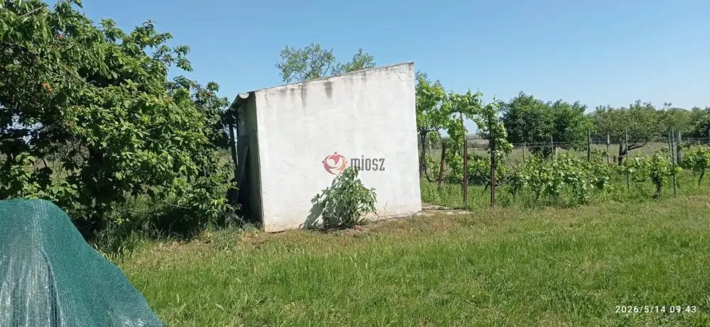 Baranya megye - Mohács
