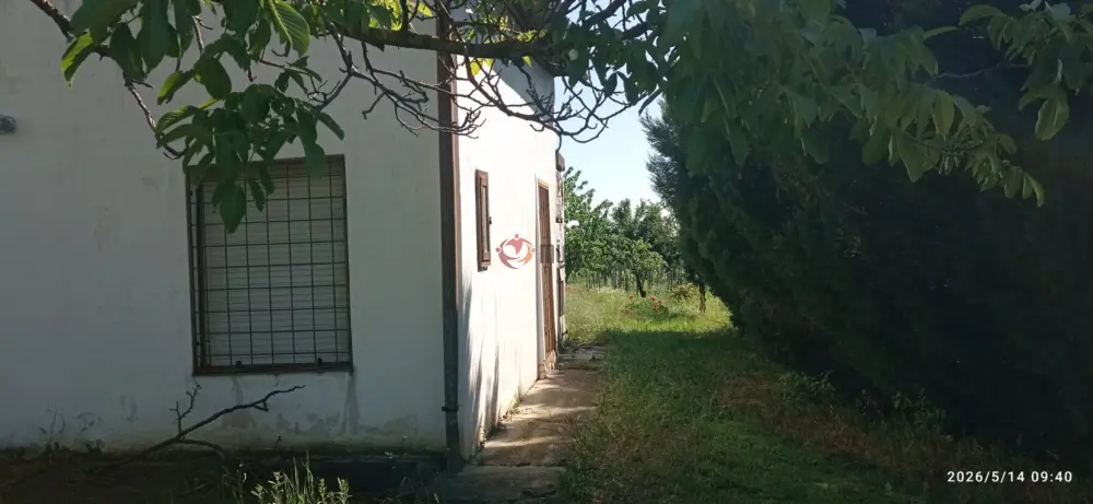 Baranya megye - Mohács