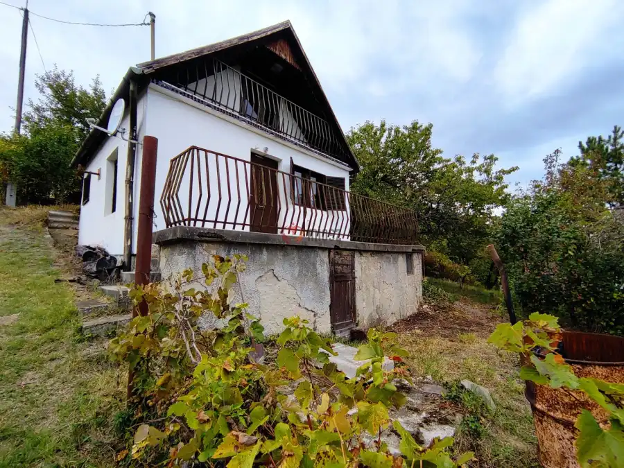 eladó nyaraló, Bár
