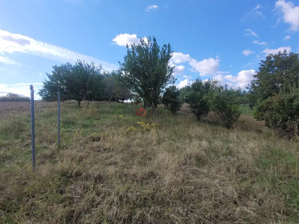 Baranya megye - Mohács