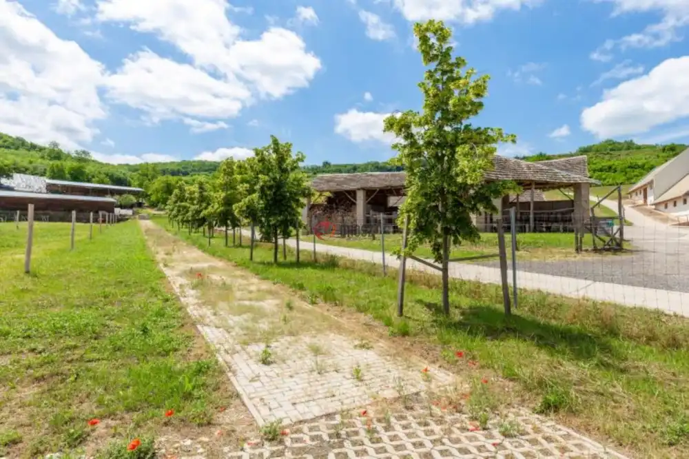 Tolna megye - Szekszárd